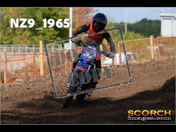 Experts-308