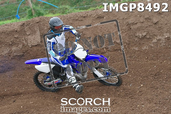 IMGP8492