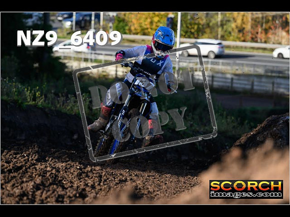 Experts-024