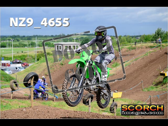 IntersGreen-094