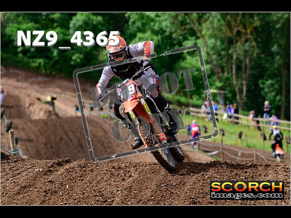 Experts-038