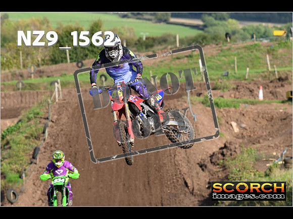 Experts-245