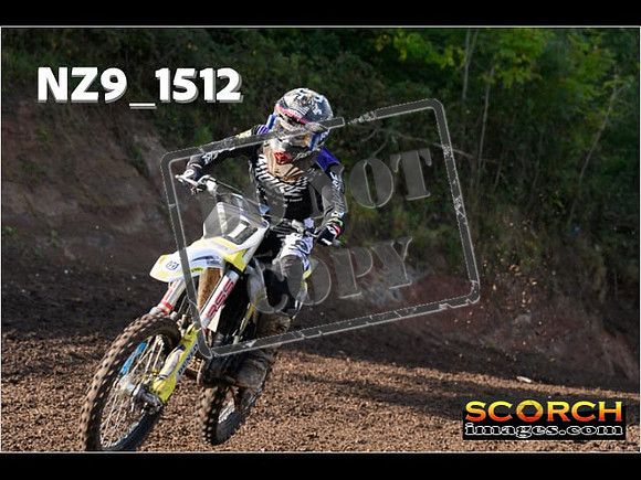 Experts-203