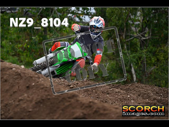 Experts-045