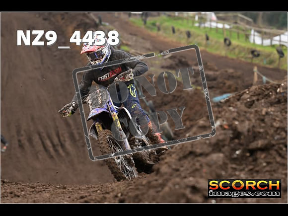 Experts-279