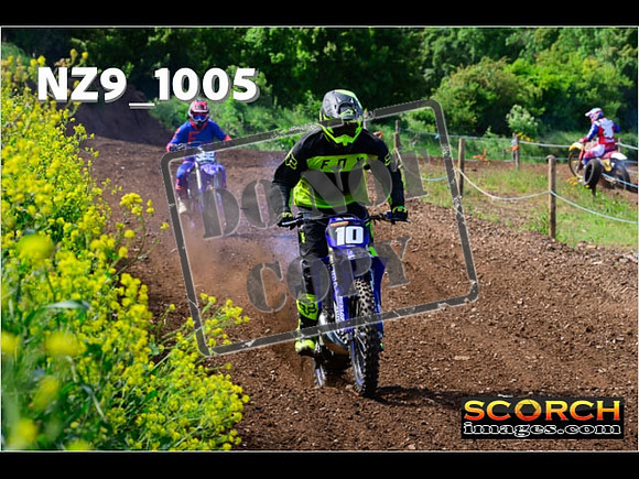 IntersGreen-069