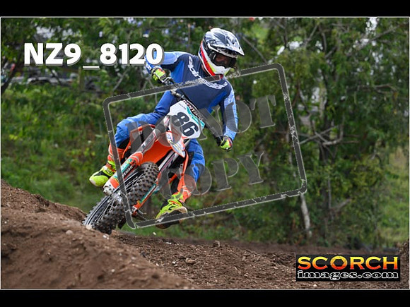 Experts-061