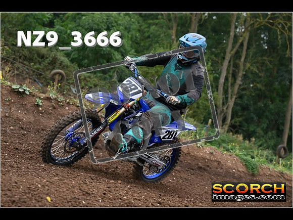 IntersGreenOrange-032