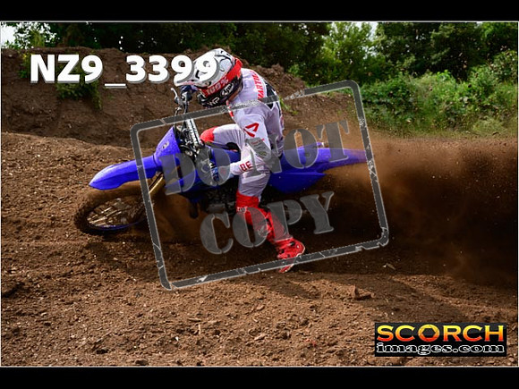 Experts-033