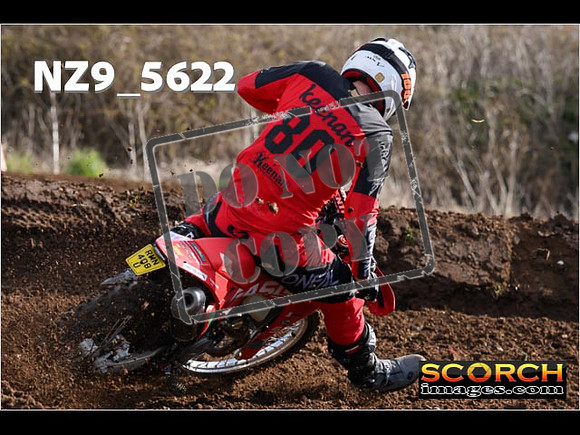 Experts-129