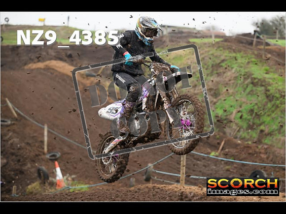 Experts-231