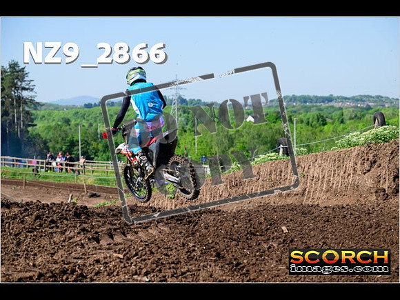 Experts-041