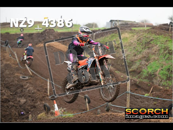 Experts-232