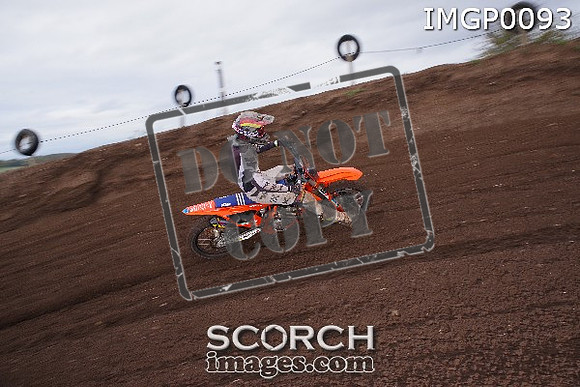IMGP0093