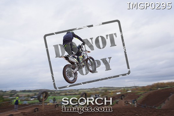 IMGP0295