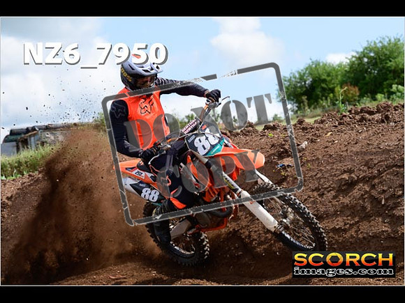Experts-116