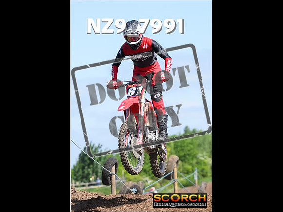 InterGreen-047