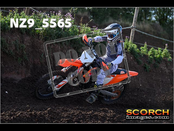 Experts-092