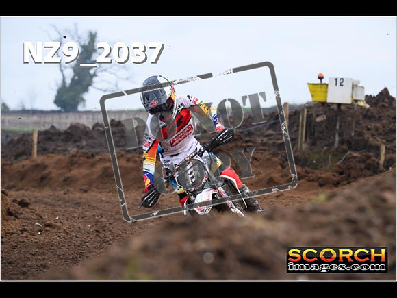 Experts-098