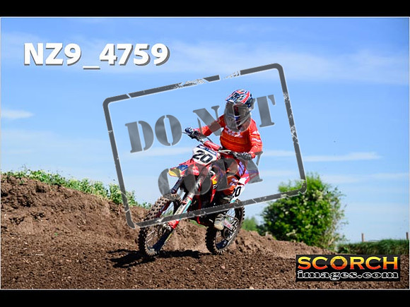 Experts-099