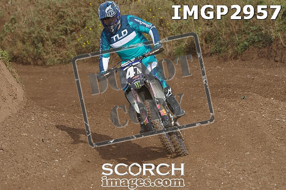 IMGP2957