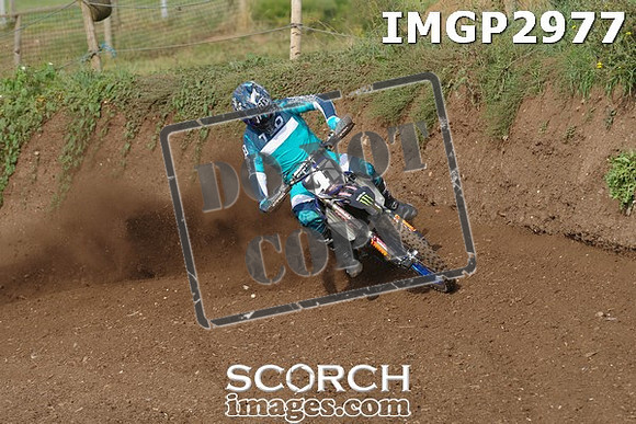 IMGP2977