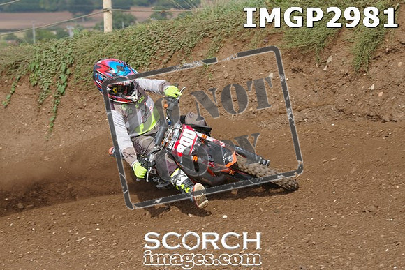 IMGP2981