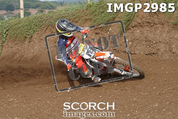 IMGP2985