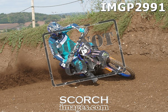 IMGP2991
