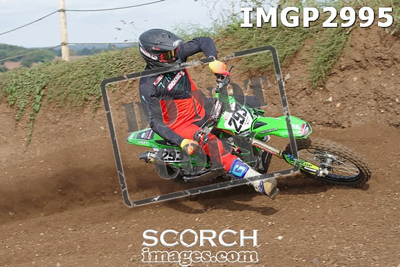 IMGP2995