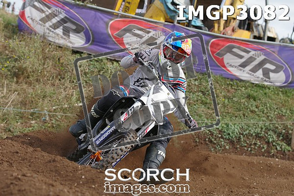 IMGP3082