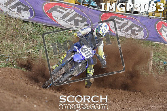 IMGP3083