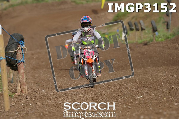 IMGP3152