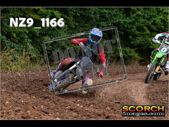Experts-047
