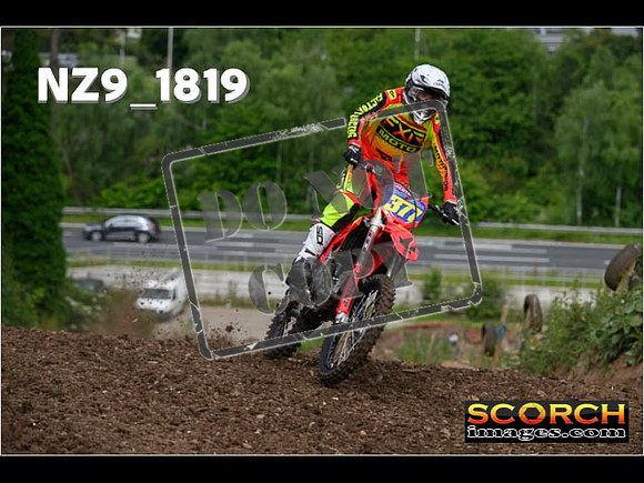 Experts-041