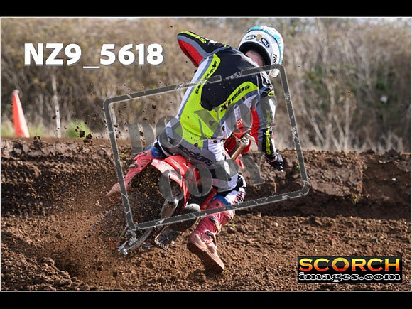Experts-126
