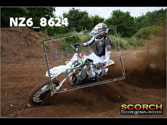 Experts-035