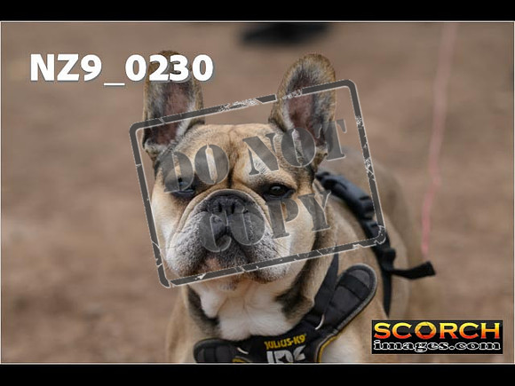 Thur25Apr-333