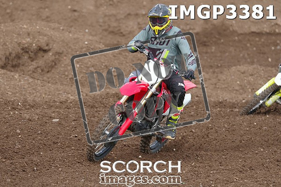 IMGP3381