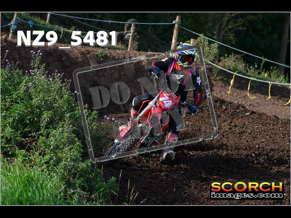 Experts-013