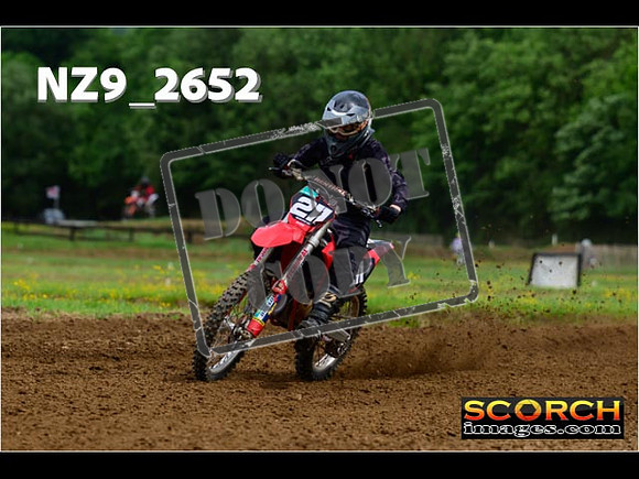 Novice-241