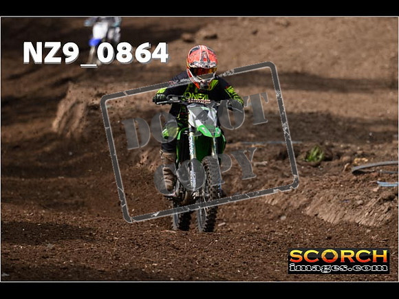 IntersGreen-394