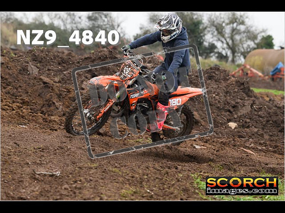 Experts-316