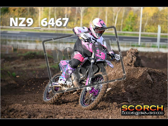 Experts-080