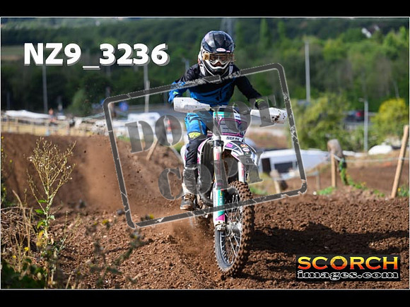 Experts-045