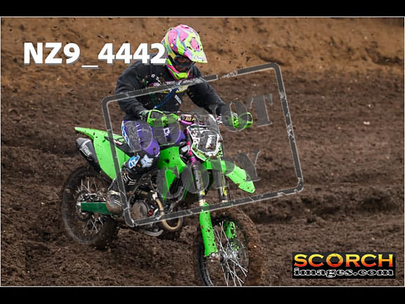 Experts-283