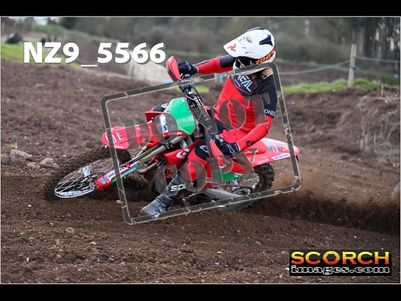 Experts-075