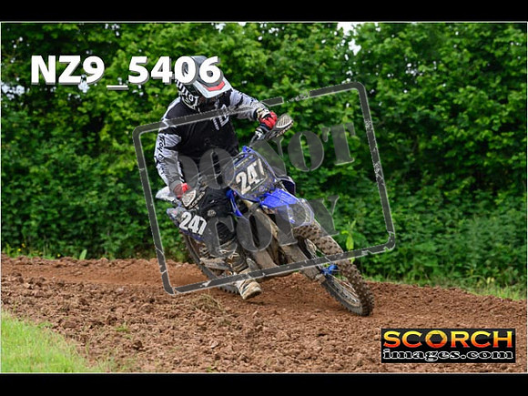 Experts-340