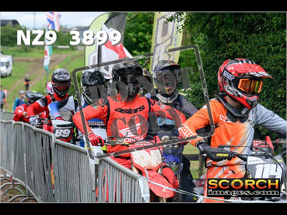 Experts-012