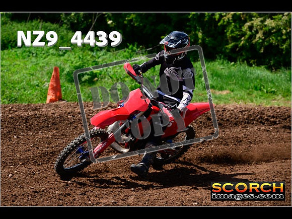 InterGreen-337